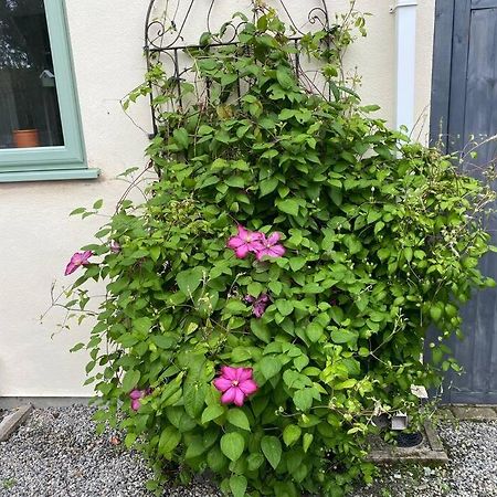Appartamento Rural Cosy Retreat For Two Near Port Isaac Delabole Esterno foto